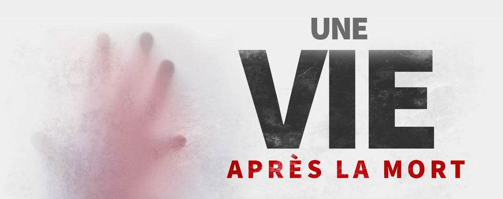 Une Vie après la Mort ?