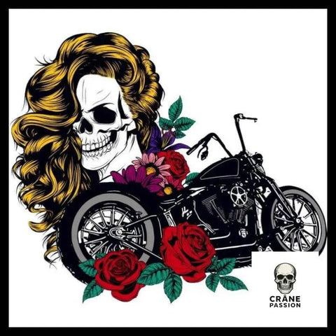 Autocollant Harley Davidson Skull - Crâne Passion