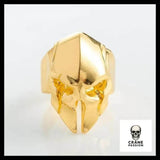 Bague Spartiate (Acier) - Crâne Passion