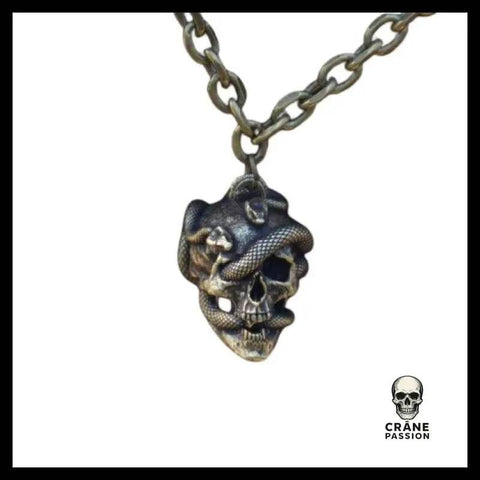 Collier Tête de Mort Serpent Bronze - Crâne Passion