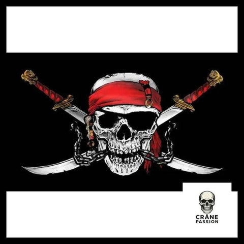 Drapeau Pirate Barbe Blanche - Crâne Passion