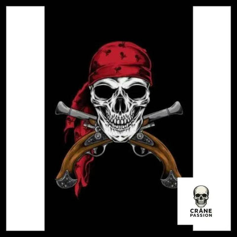 Drapeau Pirate Effrayant - Crâne Passion
