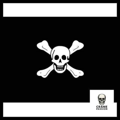 Drapeau Tête de Mort - Crâne Passion