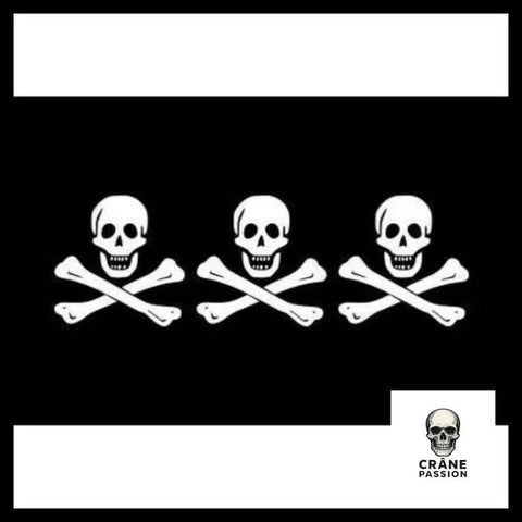 Drapeau Triple Pirates - Crâne Passion