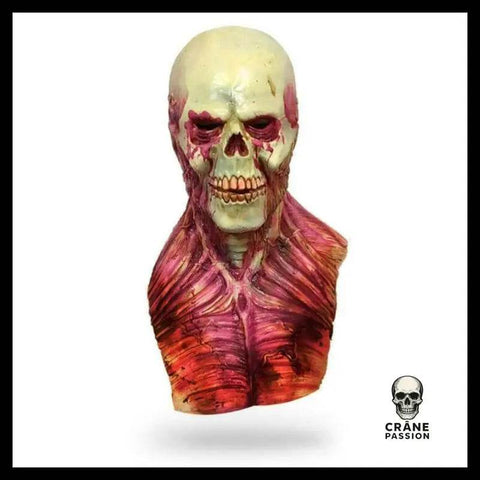 Masque Halloween Qui Fait Peur - Crâne Passion