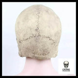 Masque Halloween Visage - Crâne Passion