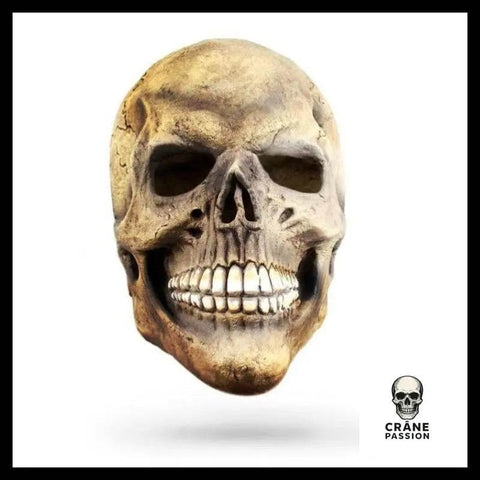 Masque Halloween Visage - Crâne Passion