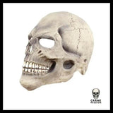 Masque Halloween Visage - Crâne Passion