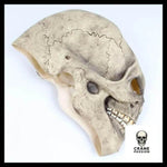 Masque Halloween Visage - Crâne Passion