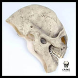 Masque Halloween Visage - Crâne Passion