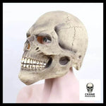 Masque Halloween Visage - Crâne Passion