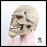 Masque Halloween Visage - Crâne Passion