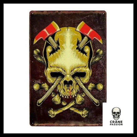 Poster Viking - Crâne Passion