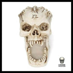 Sculpture Tête de Mort Crâne Art Rangement - Crâne Passion