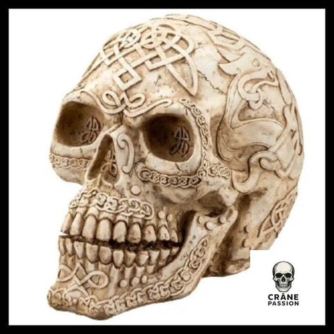 Sticker 3D Calavera - Crâne Passion
