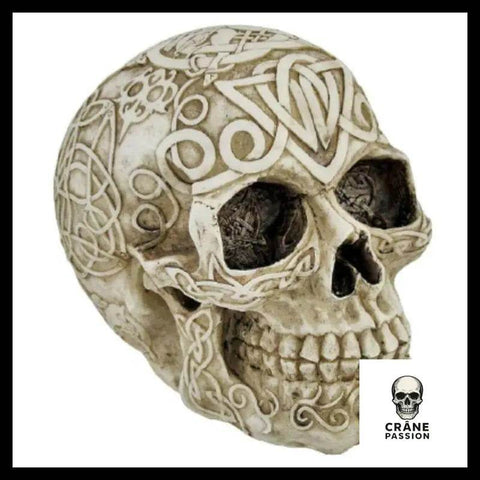 Sticker 3D Skull - Crâne Passion