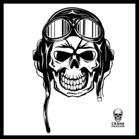 Sticker Aviation - Crâne Passion