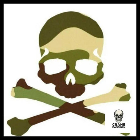 Sticker Camouflage - Crâne Passion