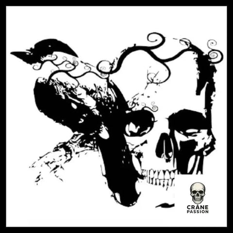 Sticker Corbeau - Crâne Passion