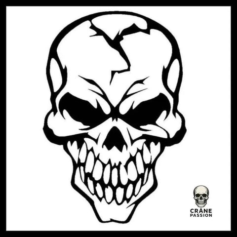 Sticker Crâne Brisé - Crâne Passion