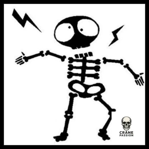 Sticker Electric - Crâne Passion
