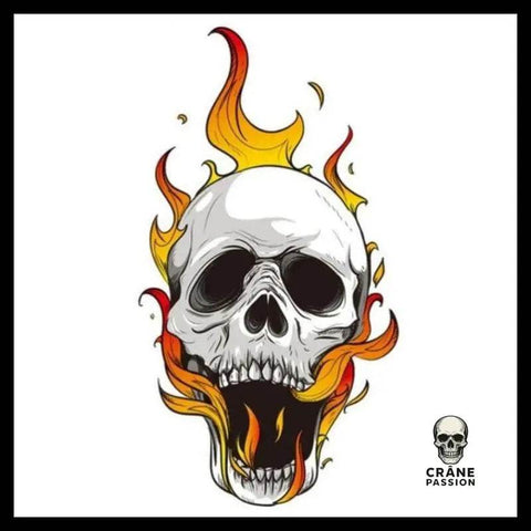 Sticker Flammes - Crâne Passion