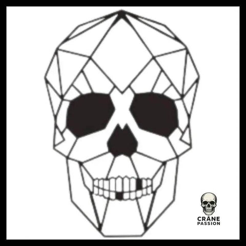 Sticker Géométrique - Crâne Passion