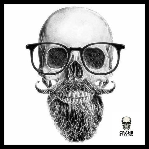 Sticker Hipster - Crâne Passion