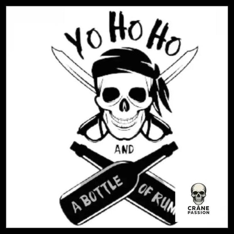 Sticker Pirate Skull - Crâne Passion
