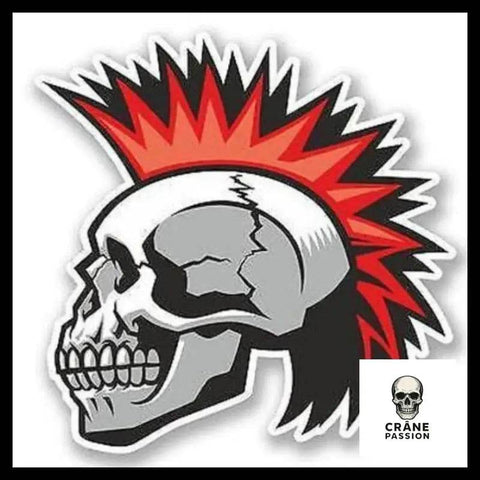 Sticker Punk - Crâne Passion
