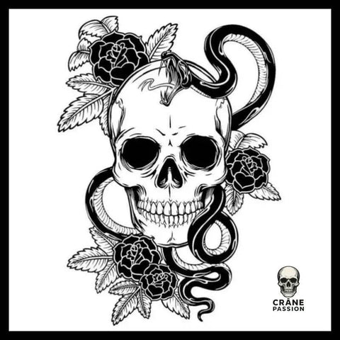 Sticker Serpent - Crâne Passion