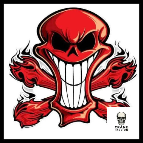 Sticker Skull - Crâne Passion