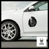 Sticker Skull Faucheuse - Crâne Passion