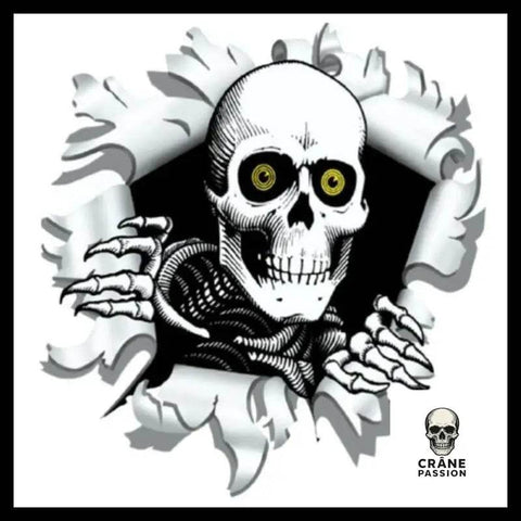 Sticker Squelette - Crâne Passion