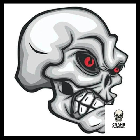 Sticker Tête de Mort - Crâne Passion