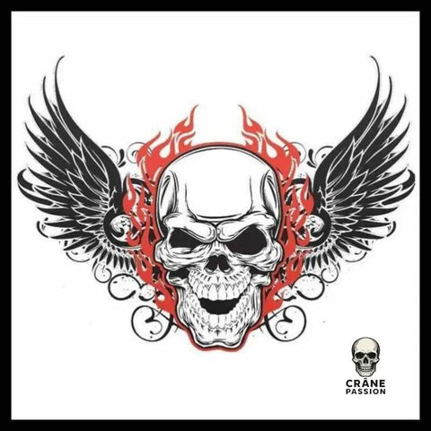 Sticker Tête de Mort Ailée - Crâne Passion