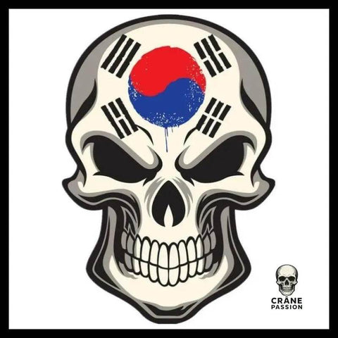 Sticker Tête de Mort Corée - Crâne Passion