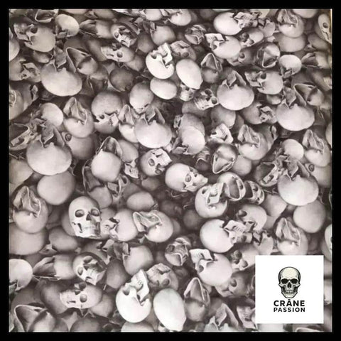 Sticker Tête de Mort Guerrier - Crâne Passion