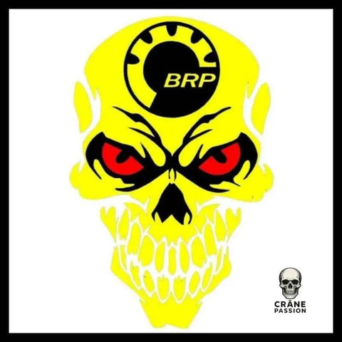 Sticker Tête de Mort Moto - Crâne Passion