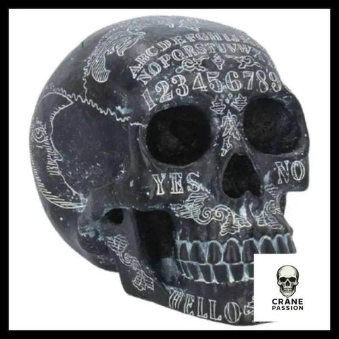 Sticker Tête de Mort Originale - Crâne Passion