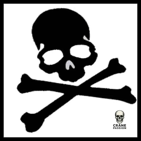 Sticker Tête de Mort Os - Crâne Passion