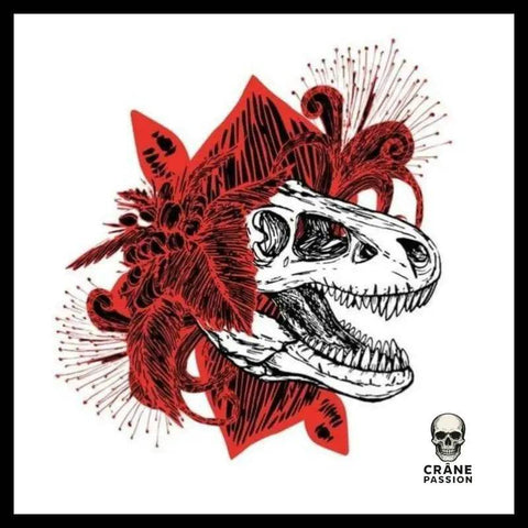 Transfert Crâne Dinosaure - Crâne Passion
