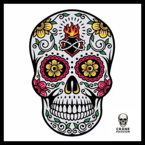 Transfert Tête de Mort Mexicaine - Crâne Passion