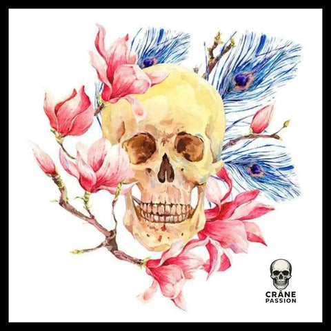 Transfert Tête de Mort Rétro - Crâne Passion