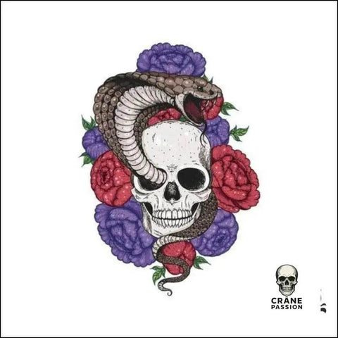 Transfert Tête de Mort Serpent - Crâne Passion